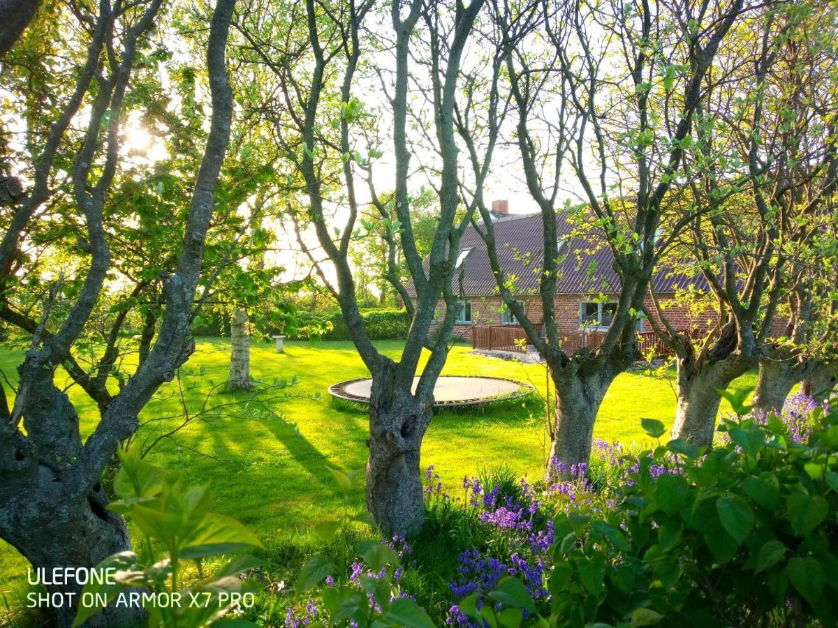Lilleledgaard Country House 링쾨빙 외부 사진